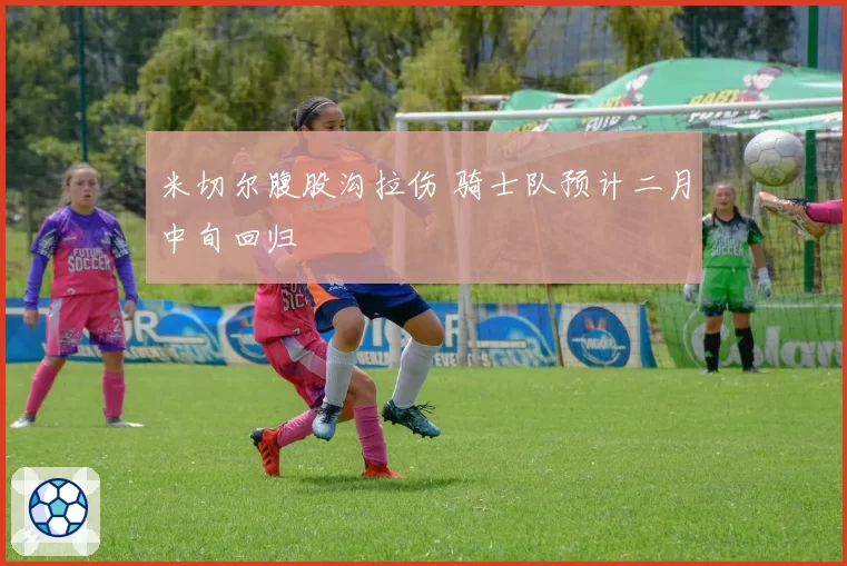 米切尔腹股沟拉伤 骑士队预计二月中旬回归