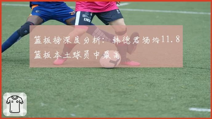 篮板榜深度分析：韩德君场均11.8篮板本土球员中最高